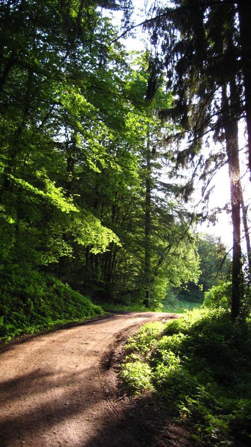 Gaestezimmer Waldblick Wimbach Экстерьер фото