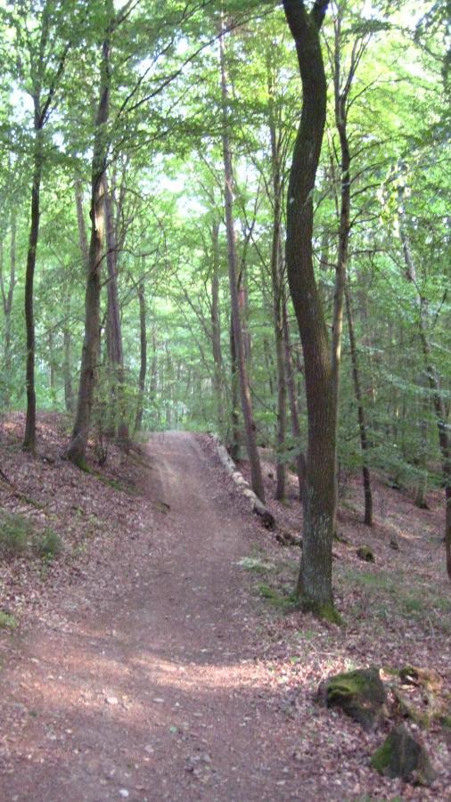 Gaestezimmer Waldblick Wimbach Экстерьер фото