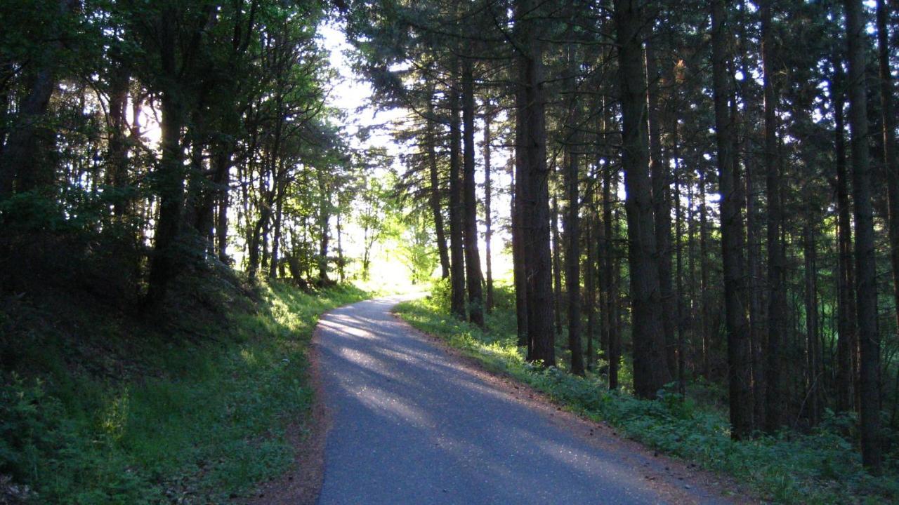 Gaestezimmer Waldblick Wimbach Экстерьер фото